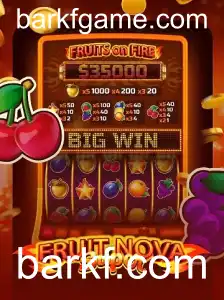Descubra o Fascinante Mundo de FruitNovaSuper